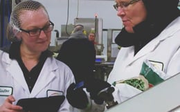 img_alchemy_training