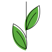 icon_growth_green-1