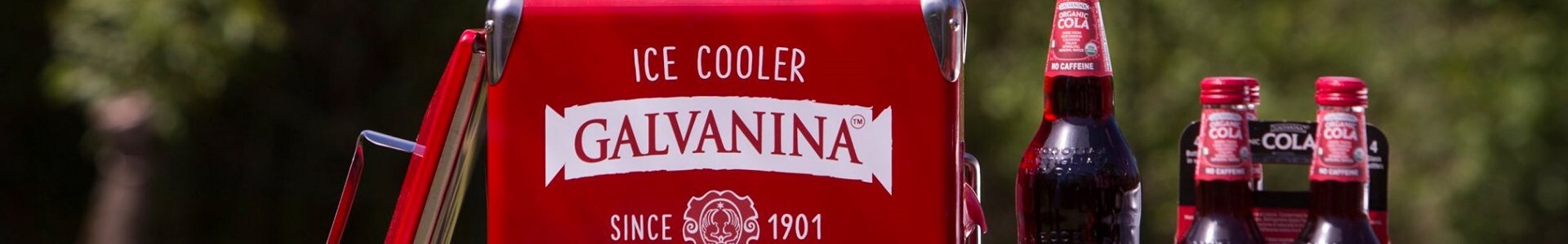 img_largmain_privateequity_galvanina