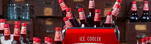 Img Riveuropeconsumerbrands 500X148