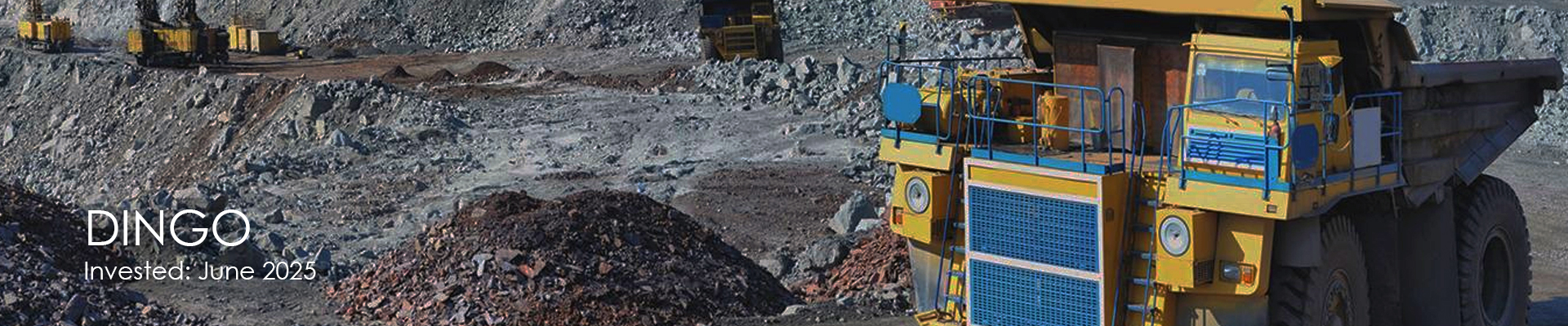 Img Rotation DINGO 1920X400